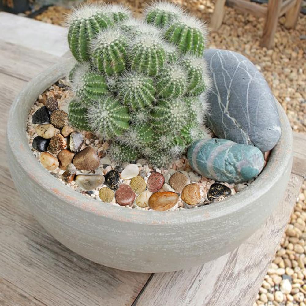 HappyFiller Outdoor Living in 2-4 cm, Mixed