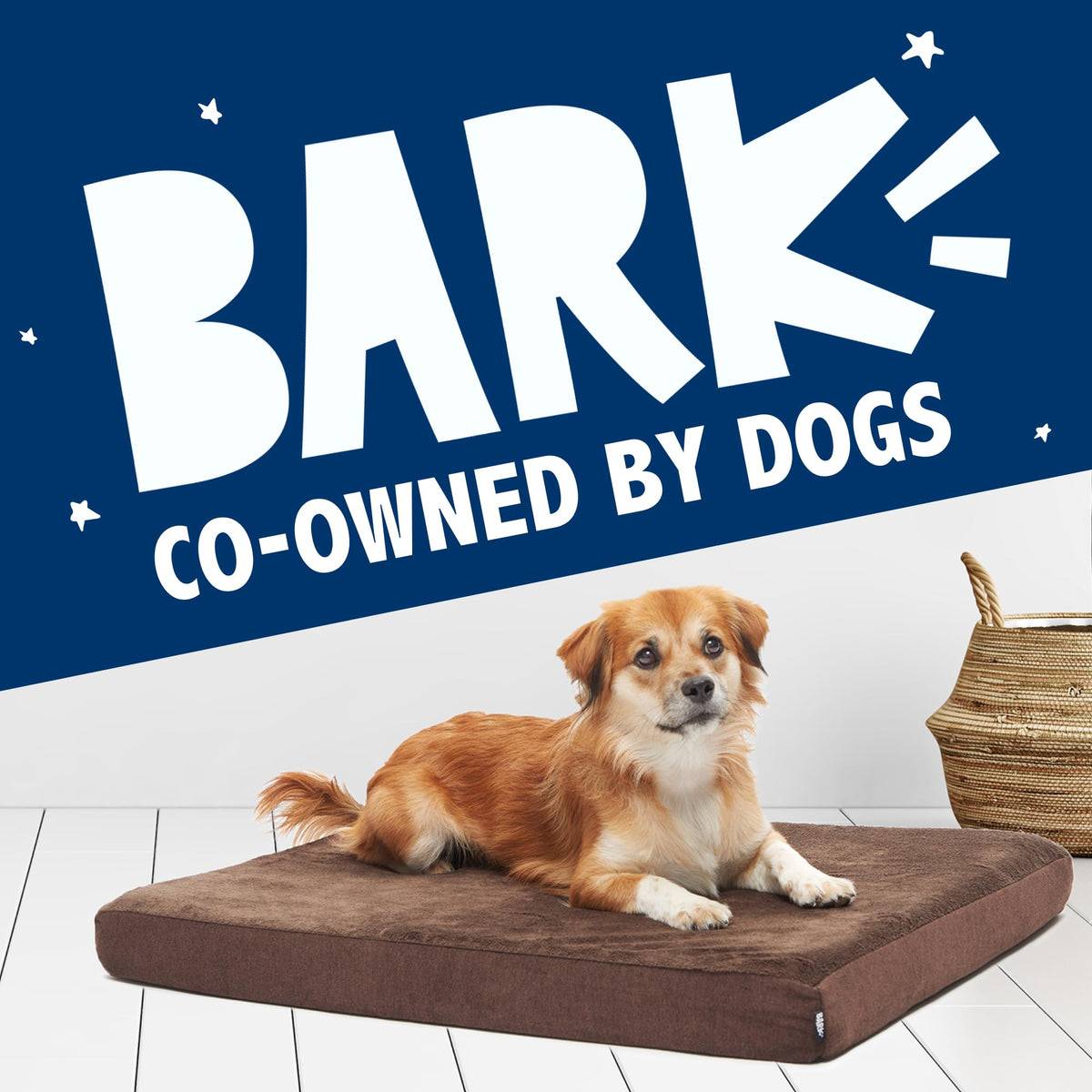 BarkBox Pet Bed Mat in Large, Espresso