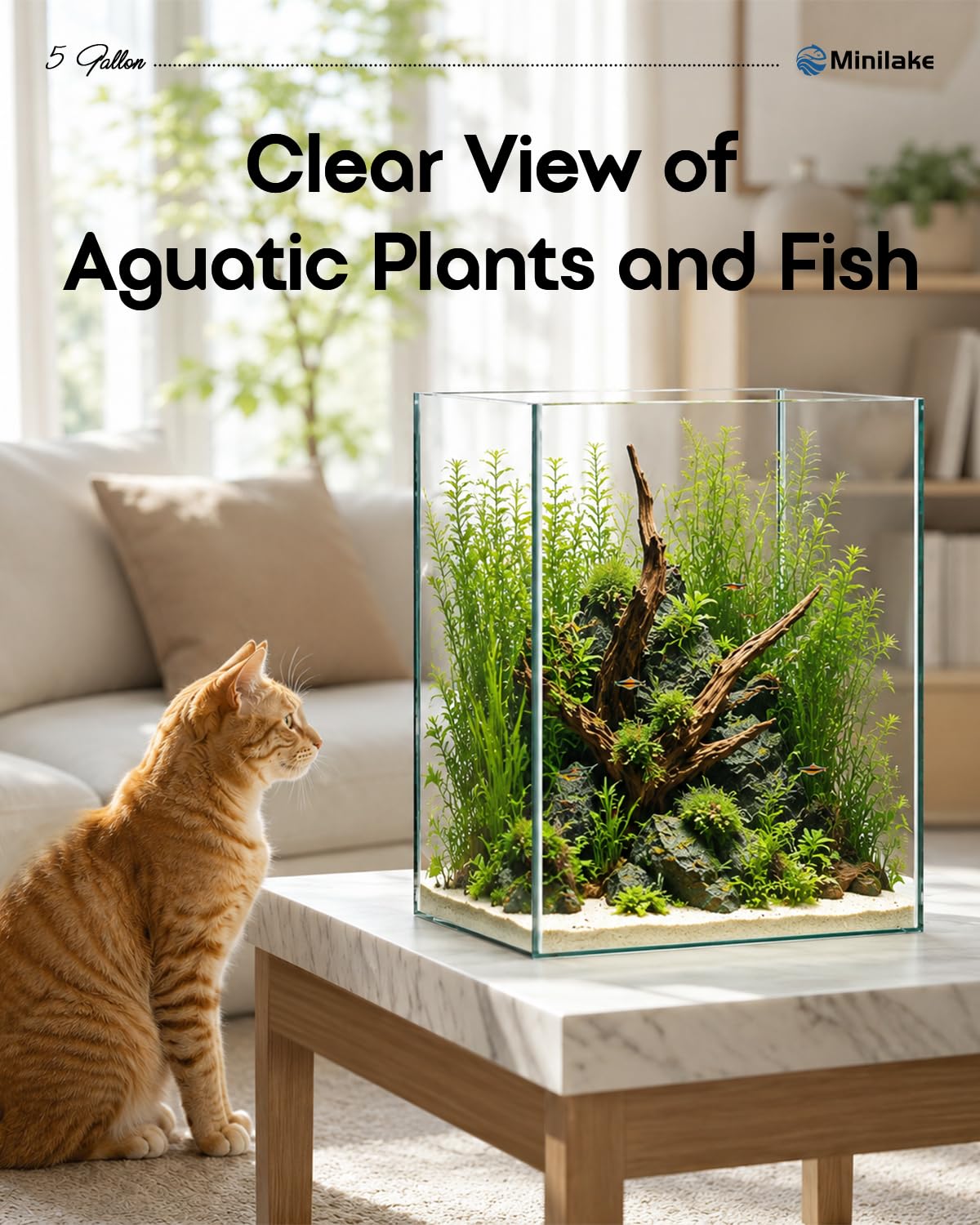 minilake Vivarium in 5 Gallon Vertical, Transparent