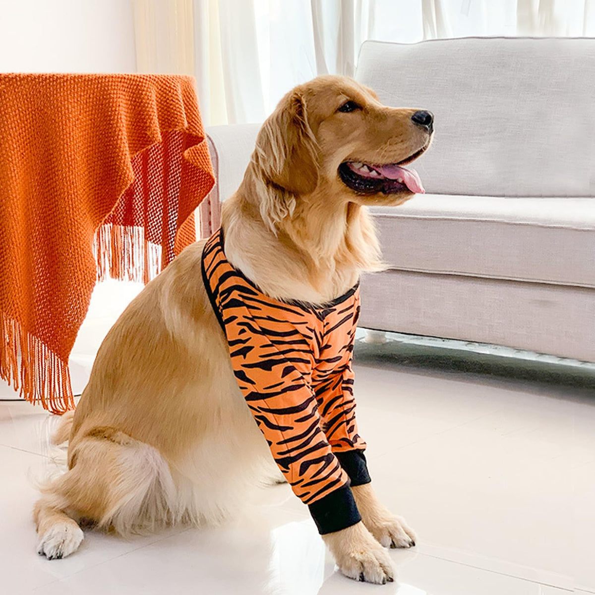 Harikaji Pet Supplies in L-Length 9'' Girth<8.2'', Tiger