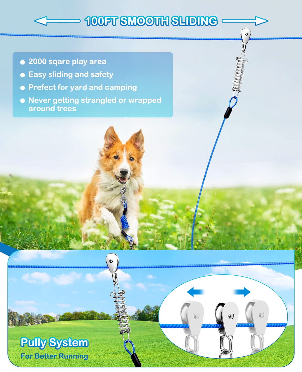 Duckygoo Leash in 100 FT,125LBS, Blue