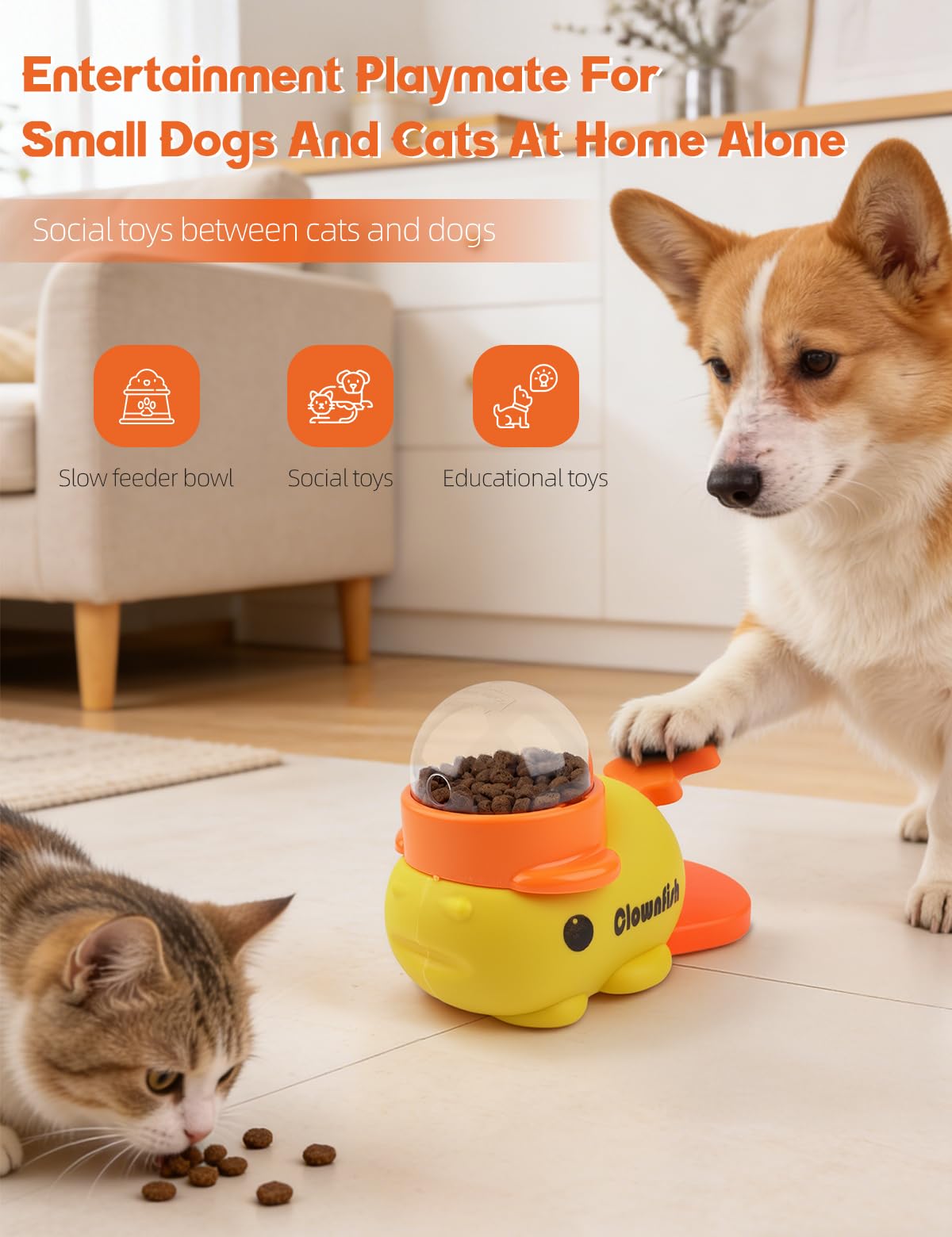 Generic Pet Feeder in yellow