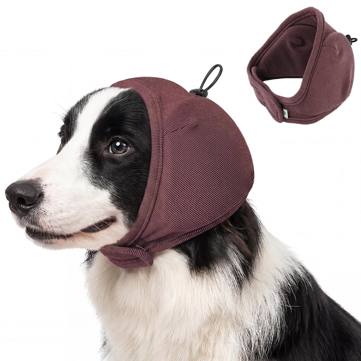 DORA BRIDAL Pet Apparel in S, Burgundy