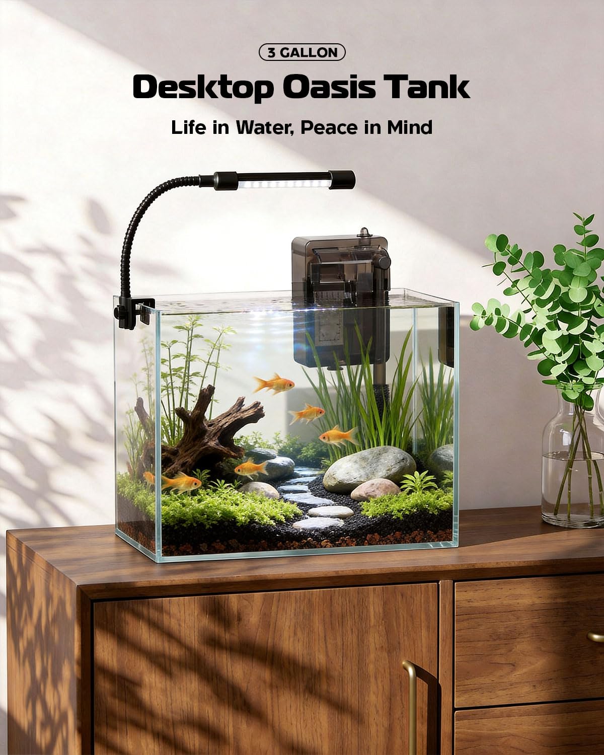 minilake Vivarium in 3 Gallon, Transparent