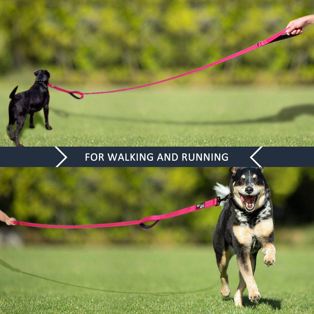 PLUTUS PET Leash in 4 FT, Pink