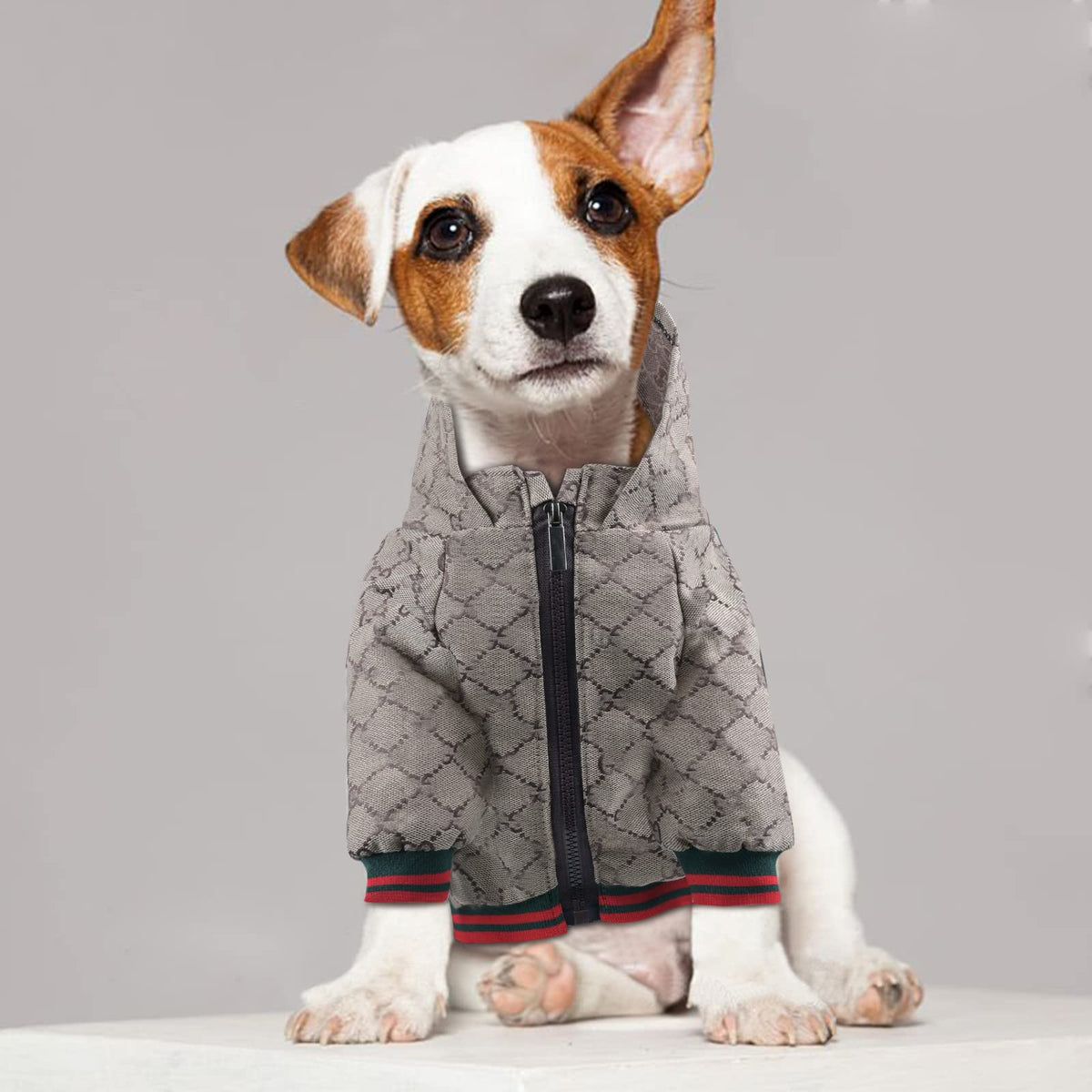 Siooyito Pet Apparel in Small, S