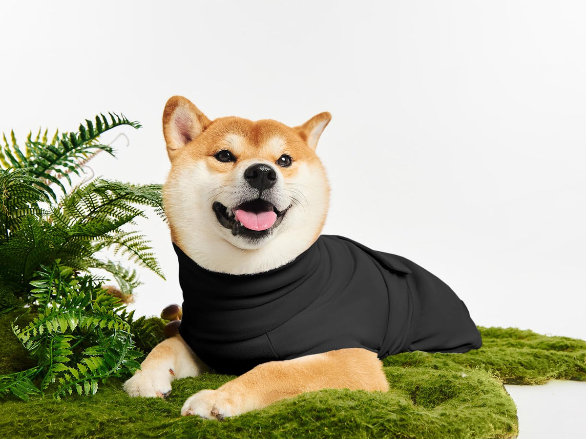 Haloumoning Pet Apparel in X-Small, Black