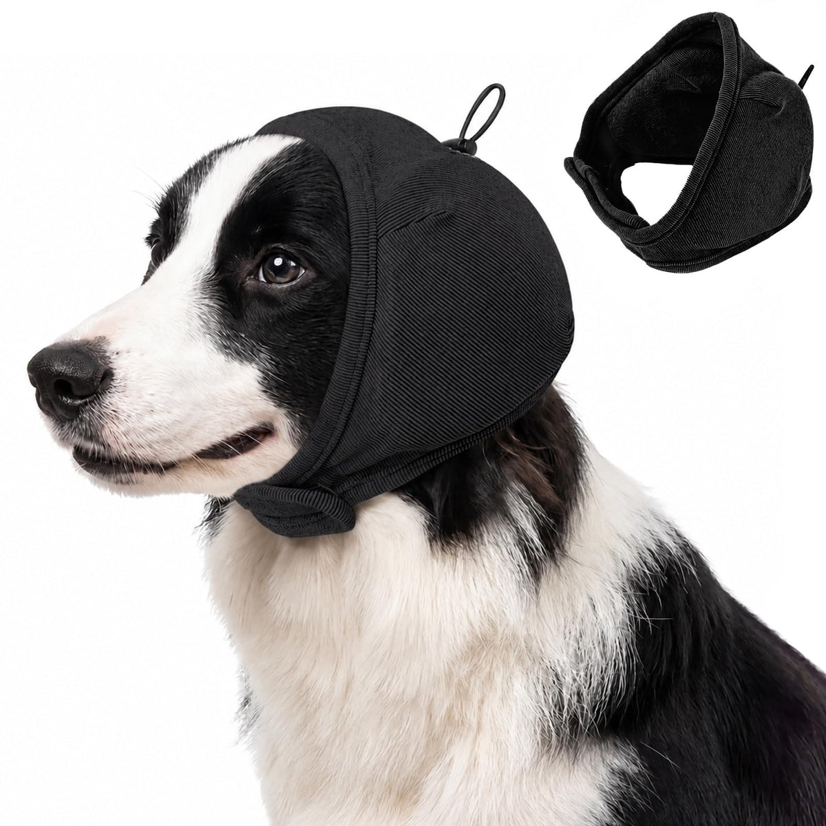 DORA BRIDAL Pet Apparel in S, Black