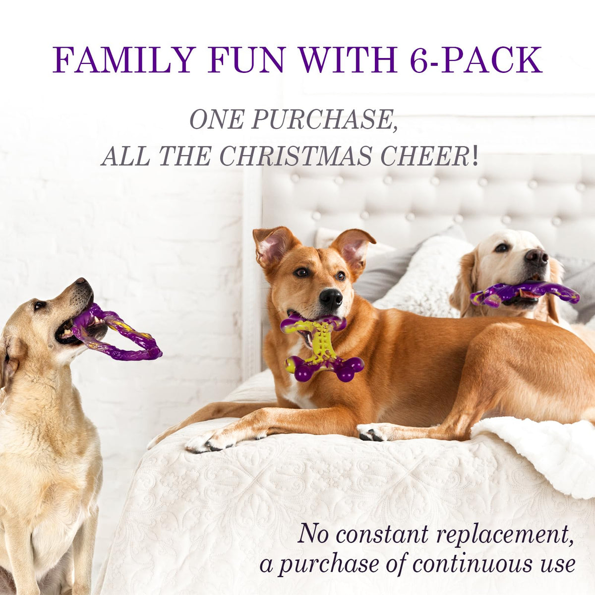 Frienhund Pet Toy in 6 Pack, Purple-6-Pack