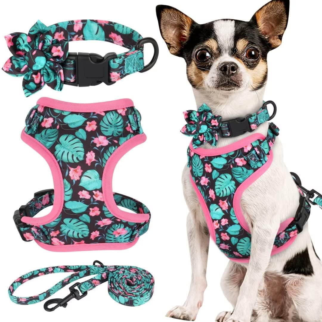 Beirui Animal Harness in XXS:Fit 2-6 lbs, Blue