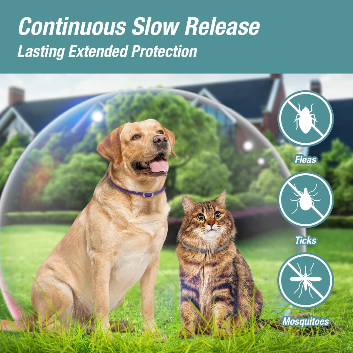 ZingZap Pet Pest Control in Grey