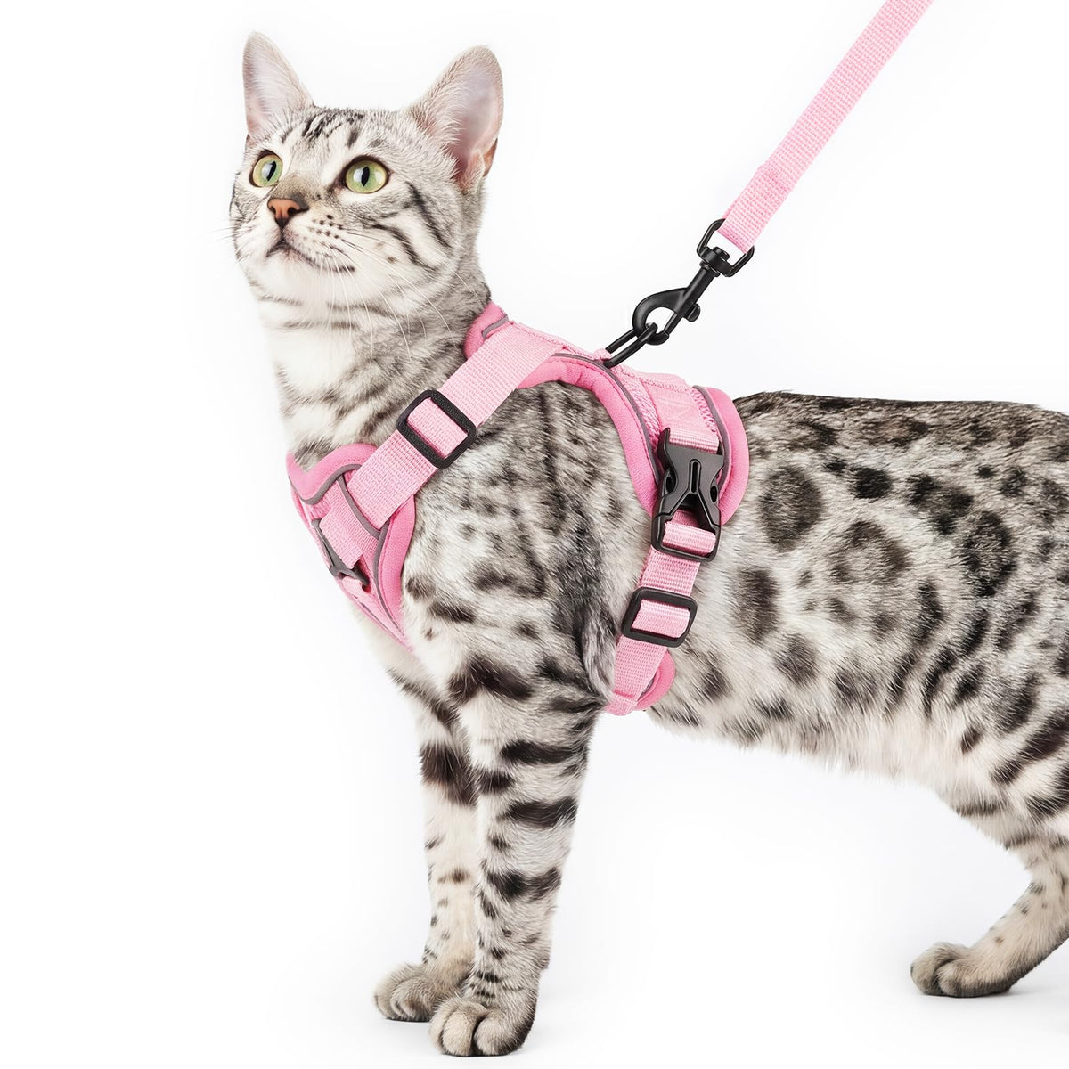 pangdi Animal Harness in Small, Pink