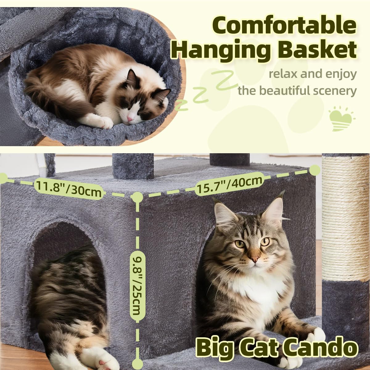 Taoqimiao Pet Activity Structure in L, Smoky Gray
