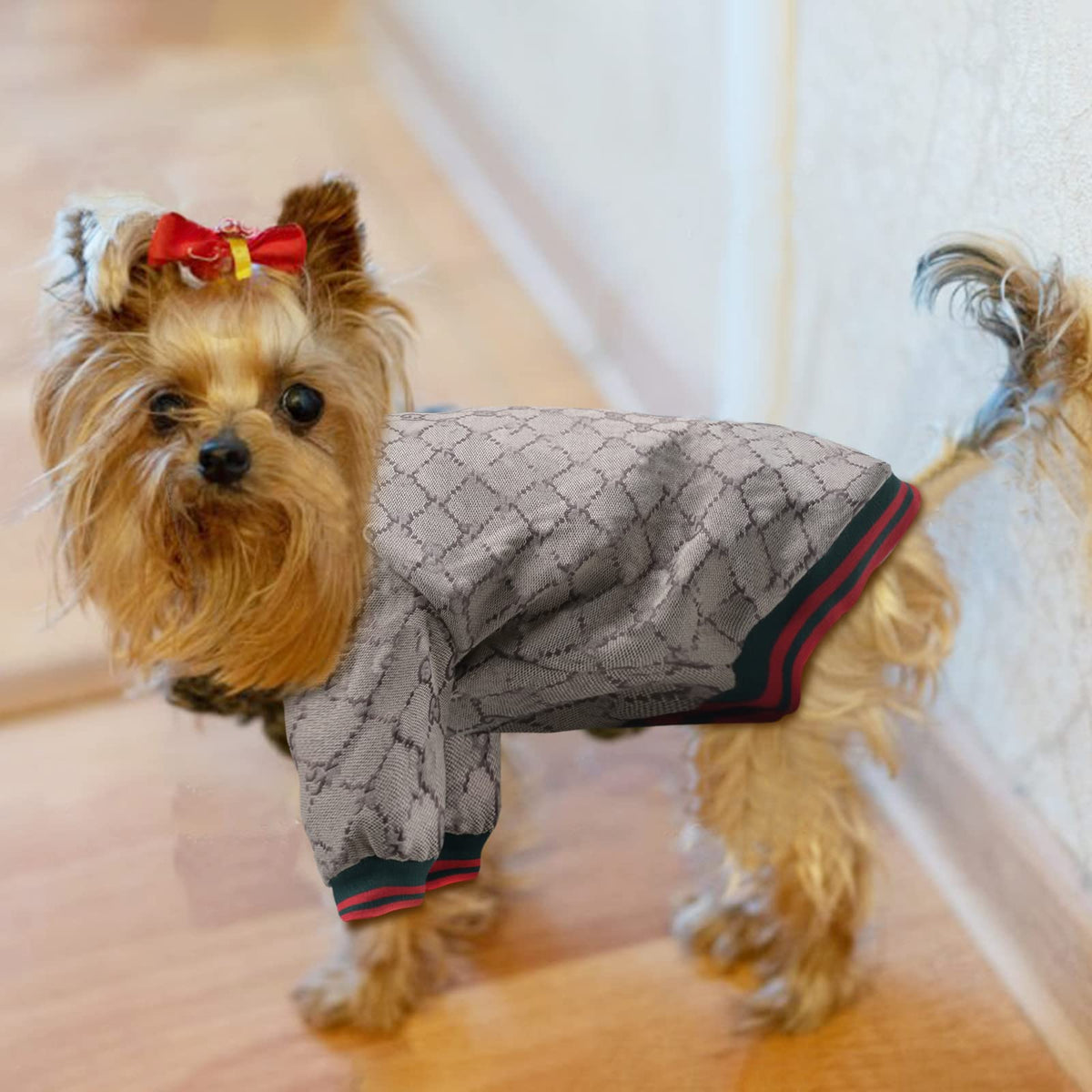 Siooyito Pet Apparel in Small, S