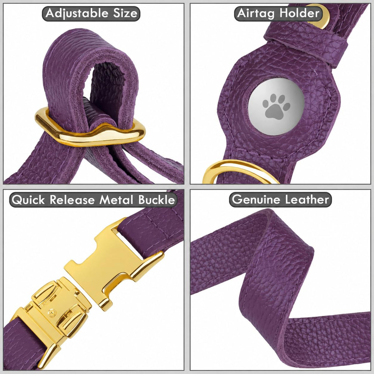BUDKAS Animal Collar in XS, 9"-12" Neck Fit, Purple