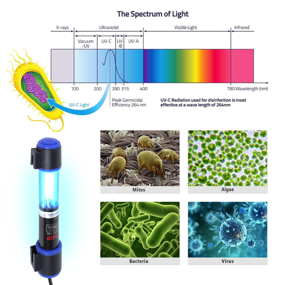 Ayamaxon Electric Light in Timer 5w, Timer