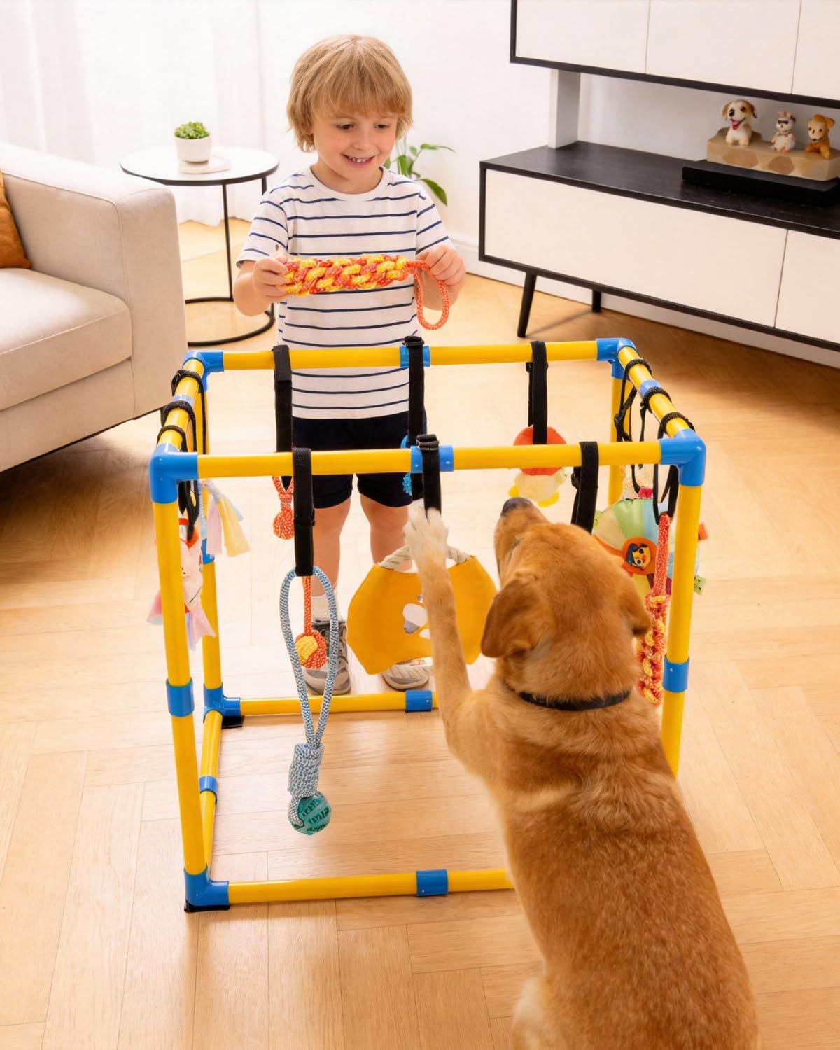 Grevigily Pet Toy in 23.6x15.7x15.7inch, Yellow + Blue
