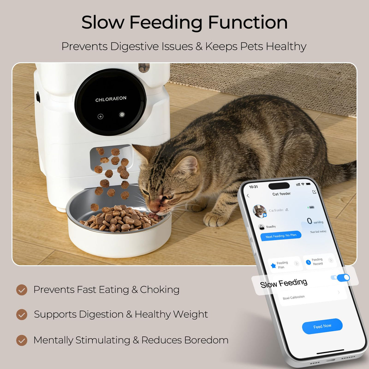 Chloraeon Pet Feeder in Warm White