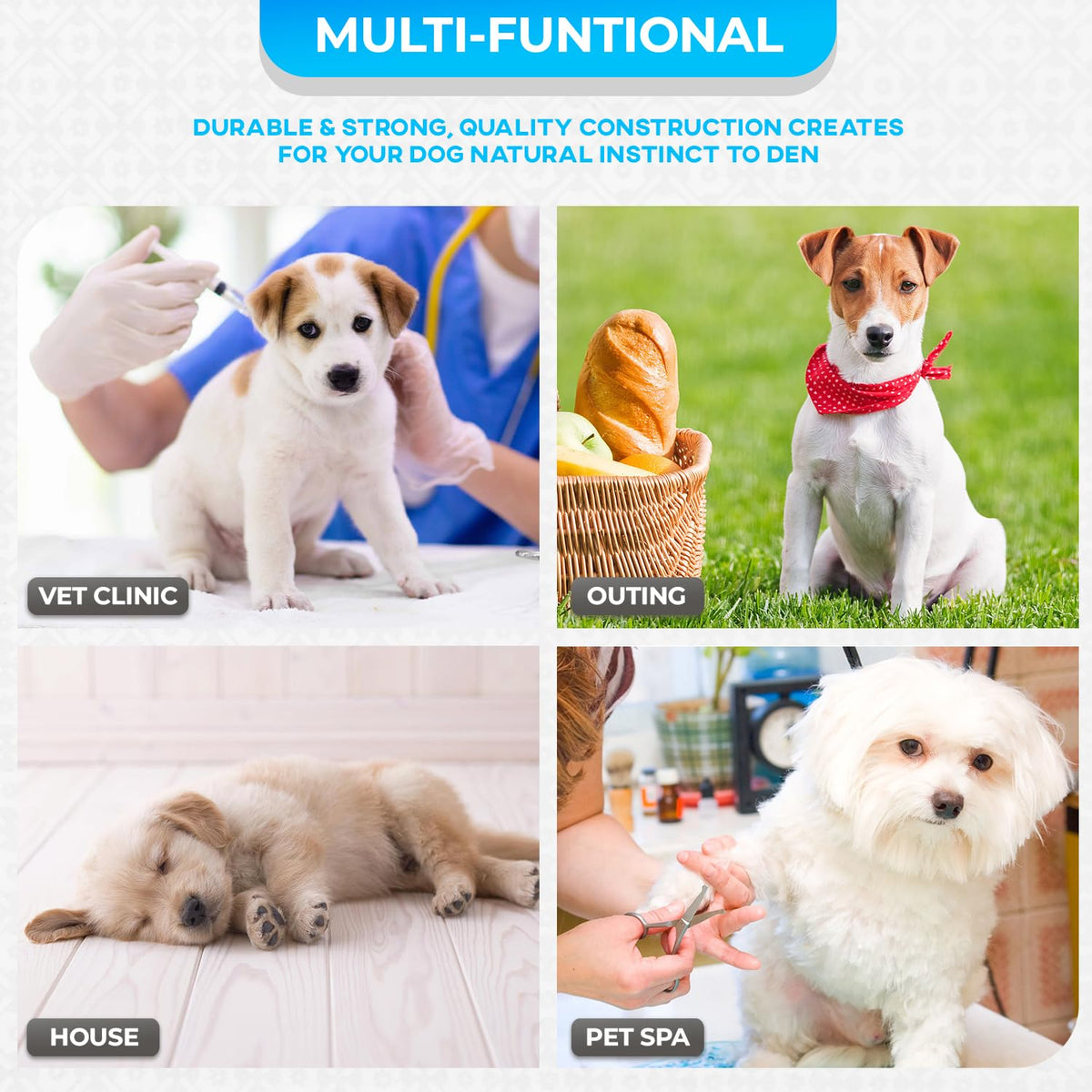 FDW Animal Cage in 24.0"L x 16.0"W x 19.0"H, Blue