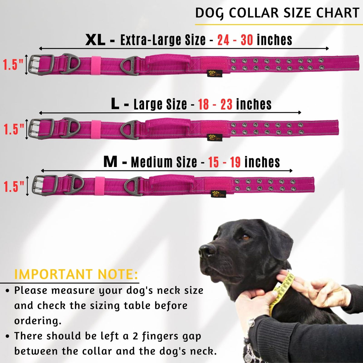 ADITYNA Animal Collar in Extra-Large: Fit 24-30" Neck, Magenta