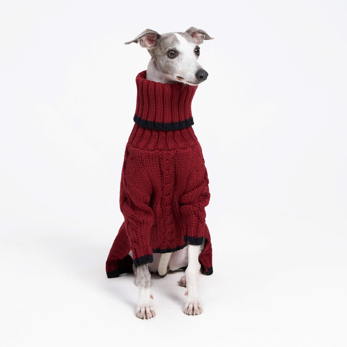 ESCCBOO Pet Apparel in Large, Red