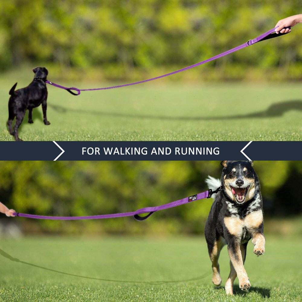 PLUTUS PET Leash in 4 FT, Purple