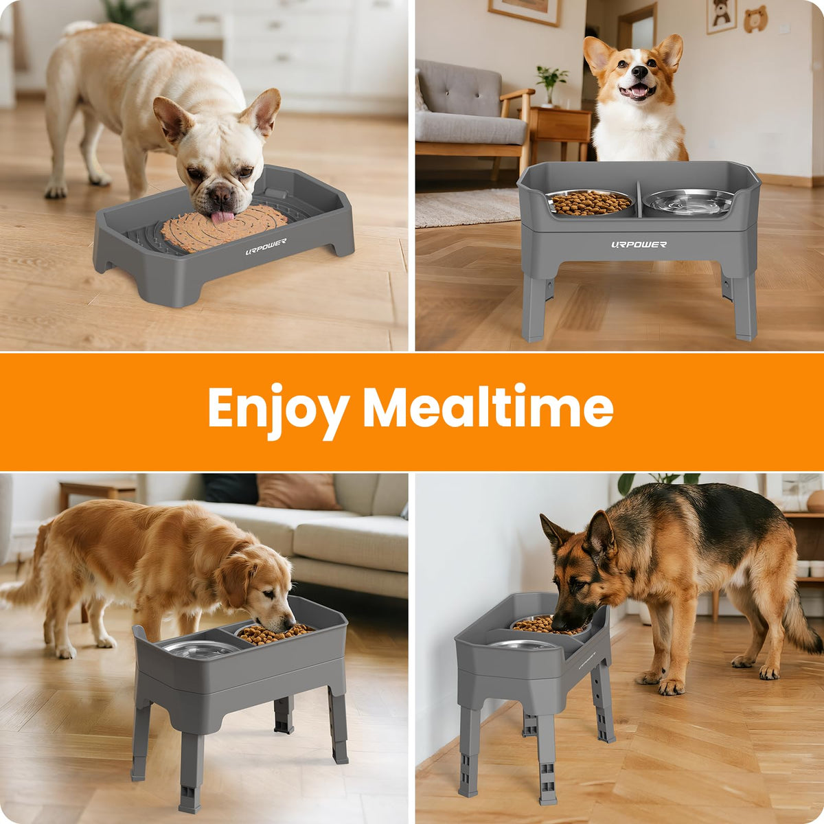 URPOWER Pet Feeder in Large, Grey