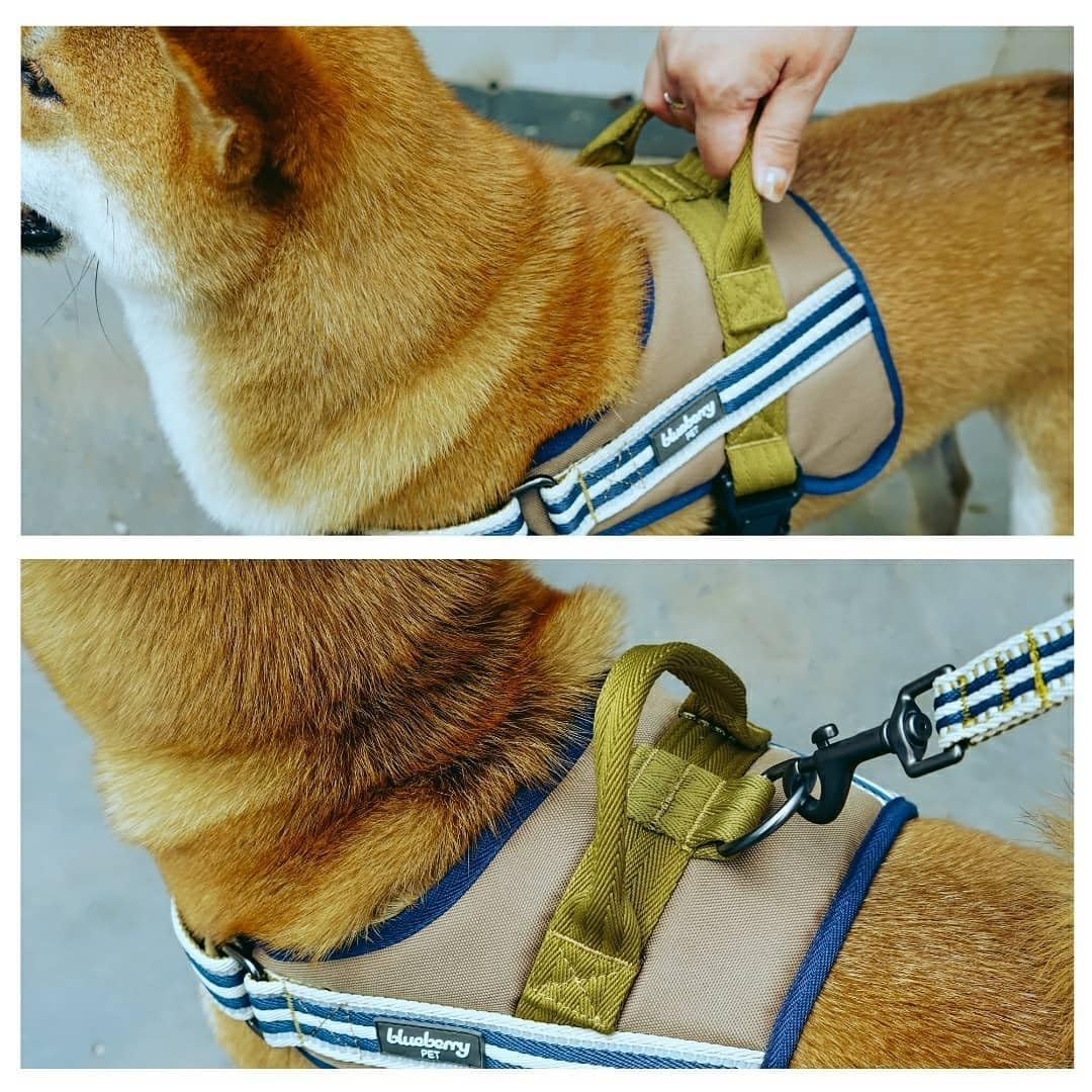 Blueberry Pet Animal Harness in Medium, Blue-gray and Olive