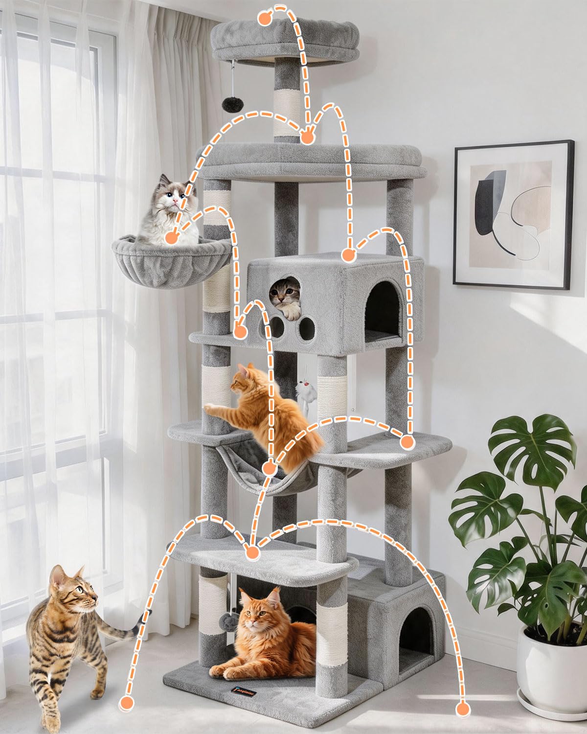 Taoqimiao Pet Activity Structure in 79 inch, Light Gray