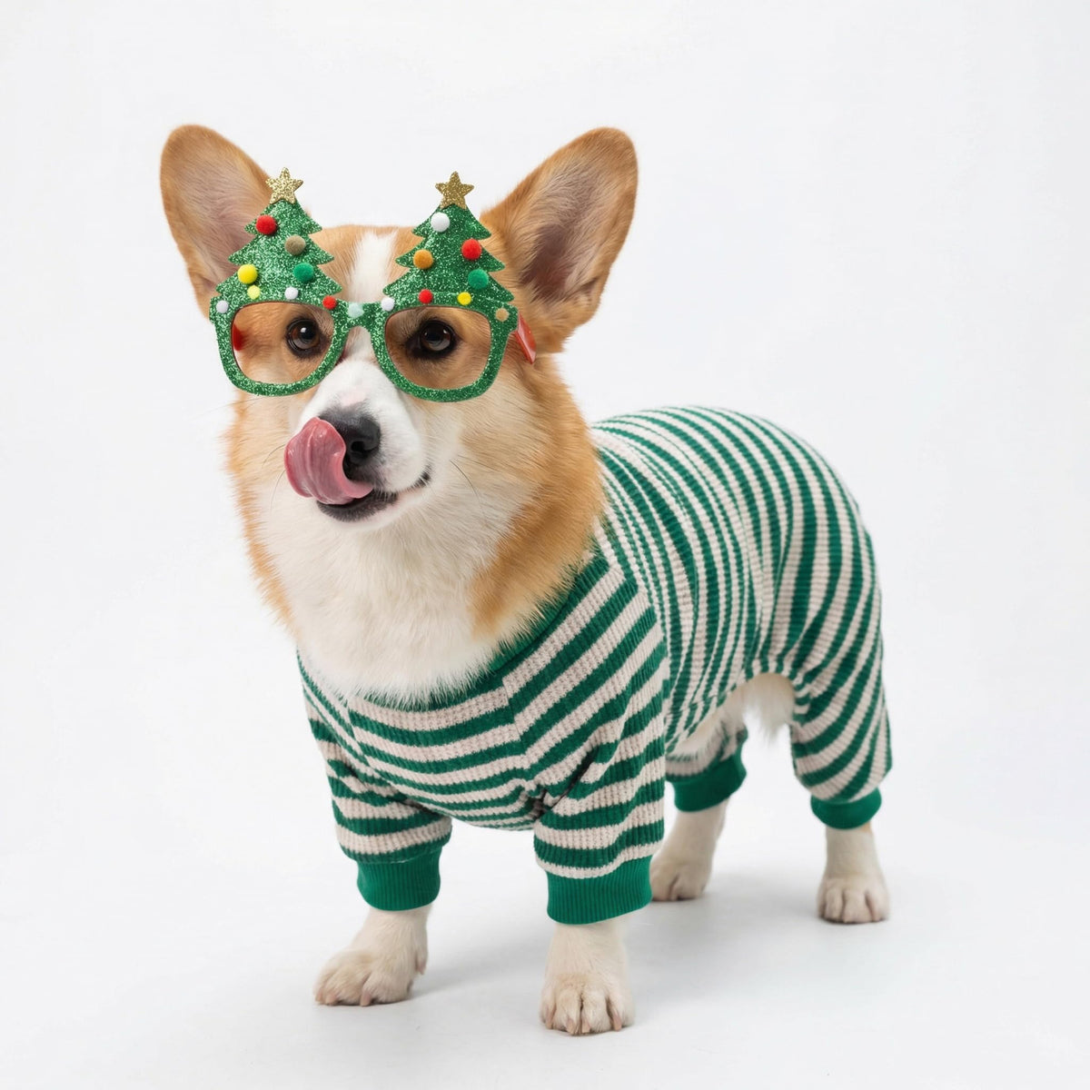Fitwarm Pet Apparel in X-Small, Green