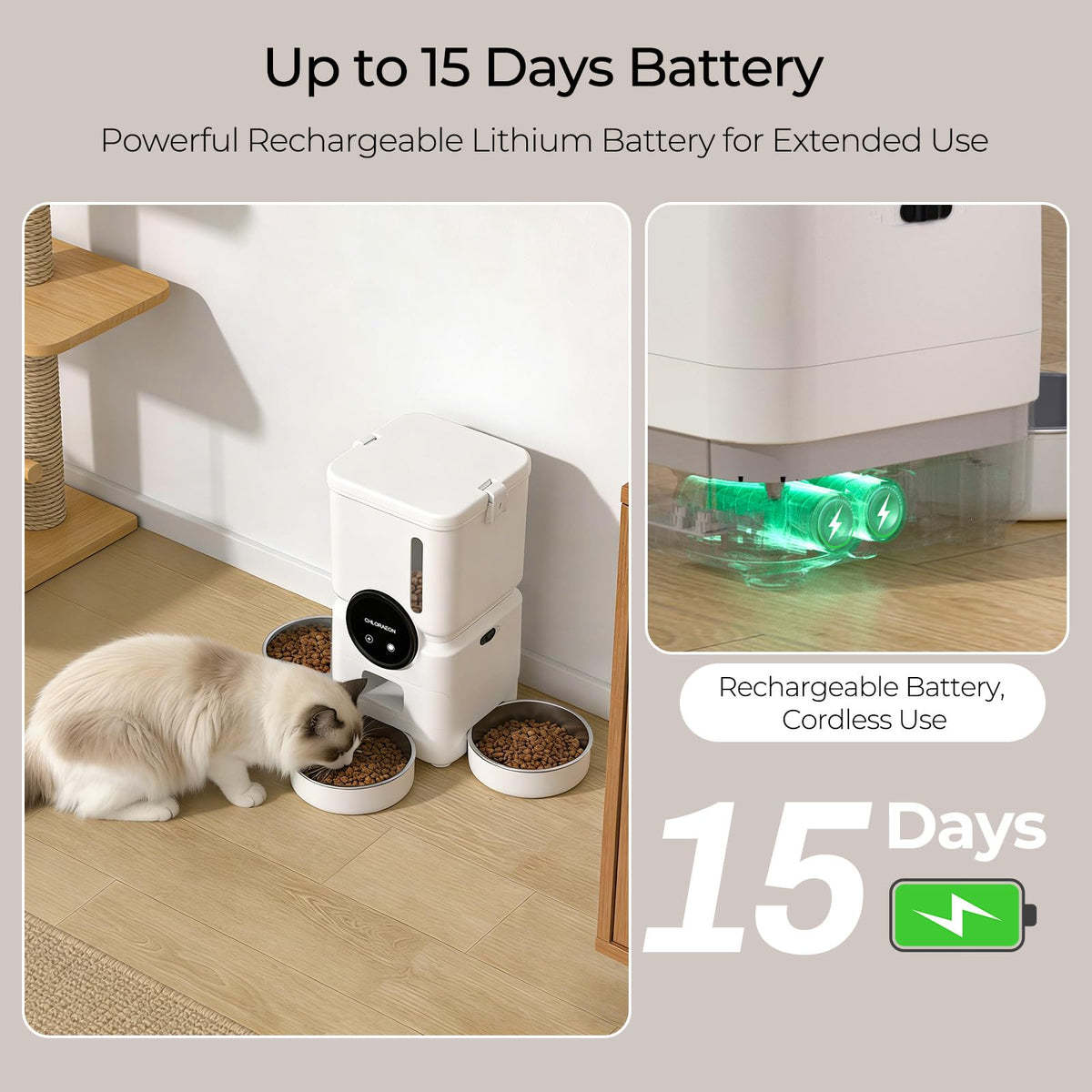 Chloraeon Pet Feeder in Warm White