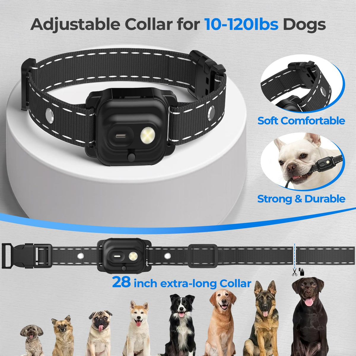 RPZ Animal Collar in 1 Receiver, Orange