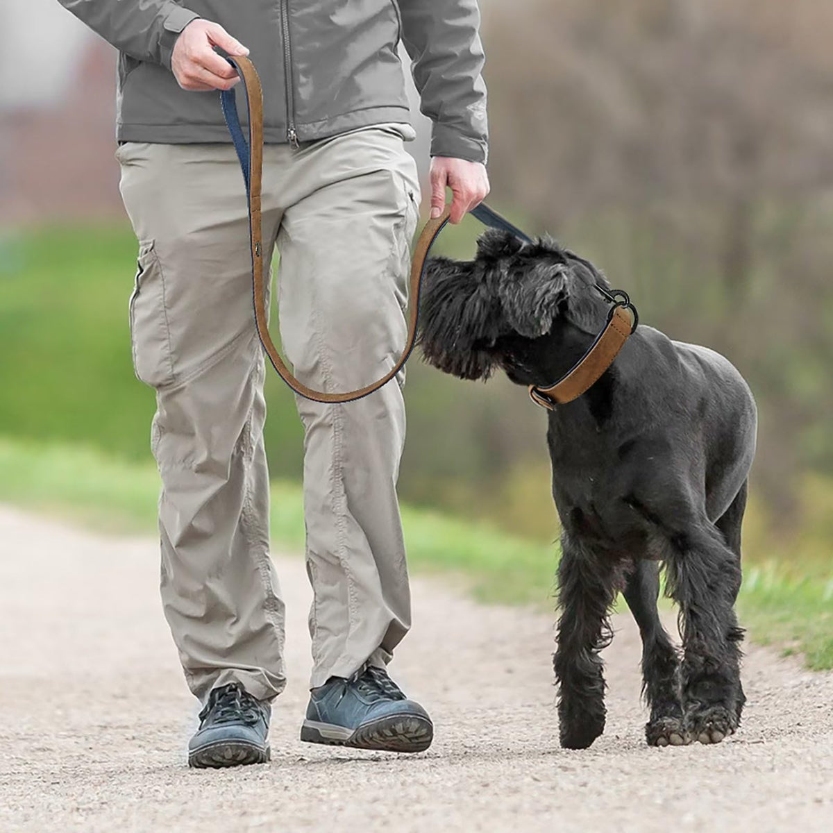Didog Animal Collar in L: Fit Neck 14-18"(22-44 lbs), Brown Set