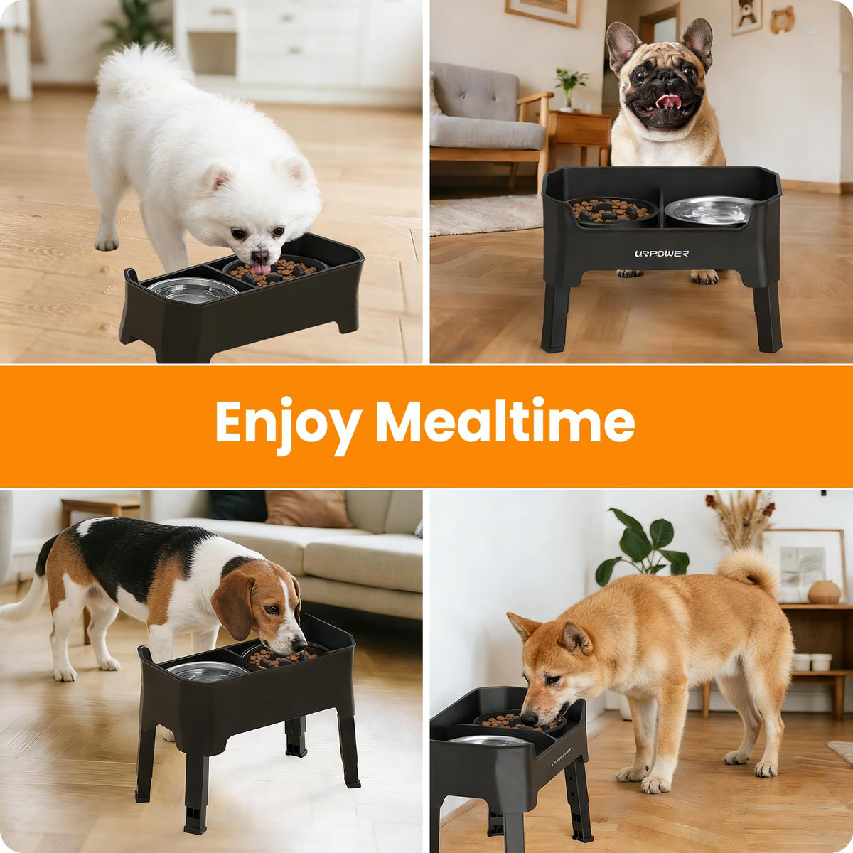 URPOWER Pet Feeder in Small, Black