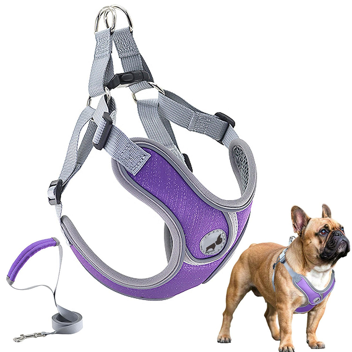 SAEGYPET Animal Harness in Medium, Purple