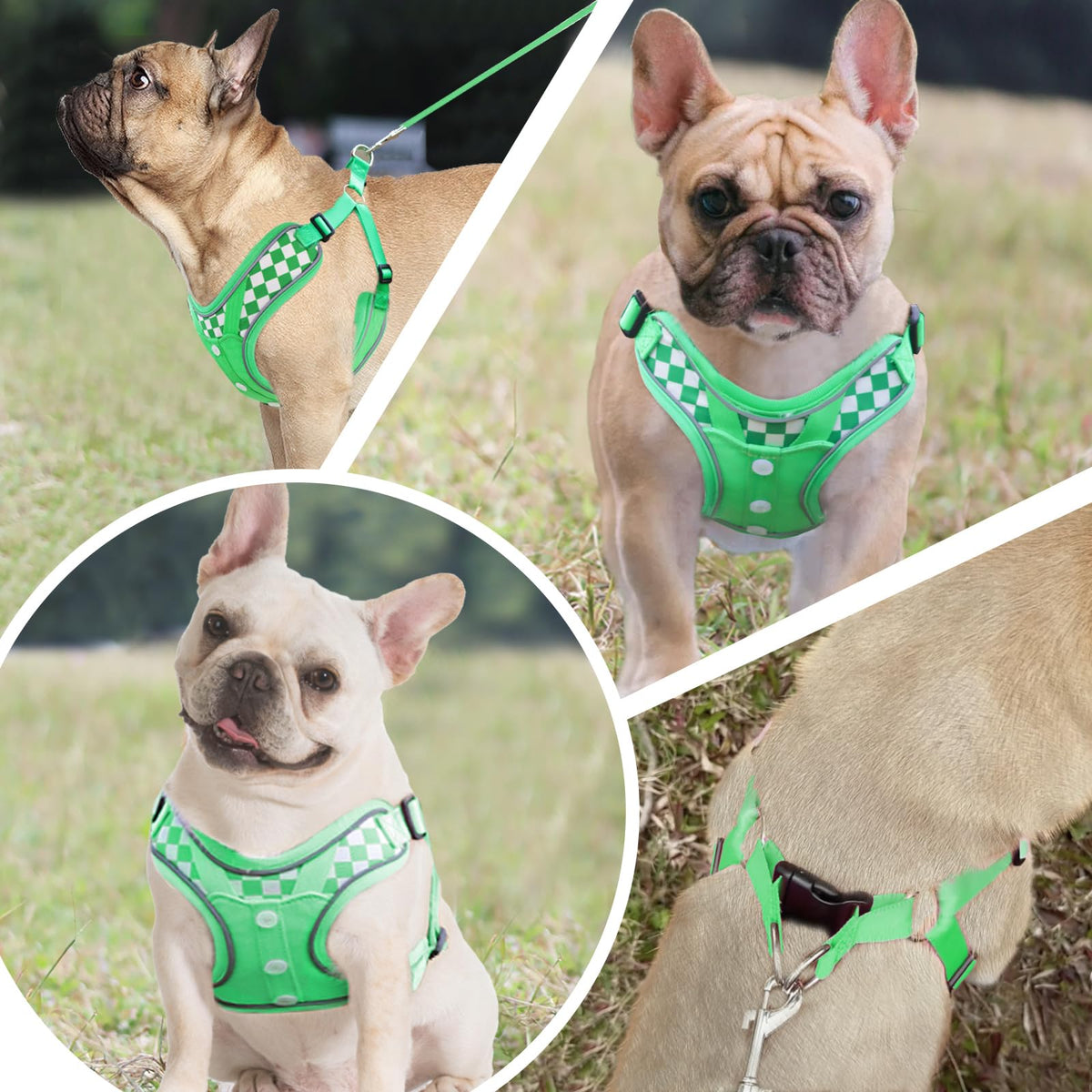 SAEGYPET Animal Harness in Medium, Green (denim)