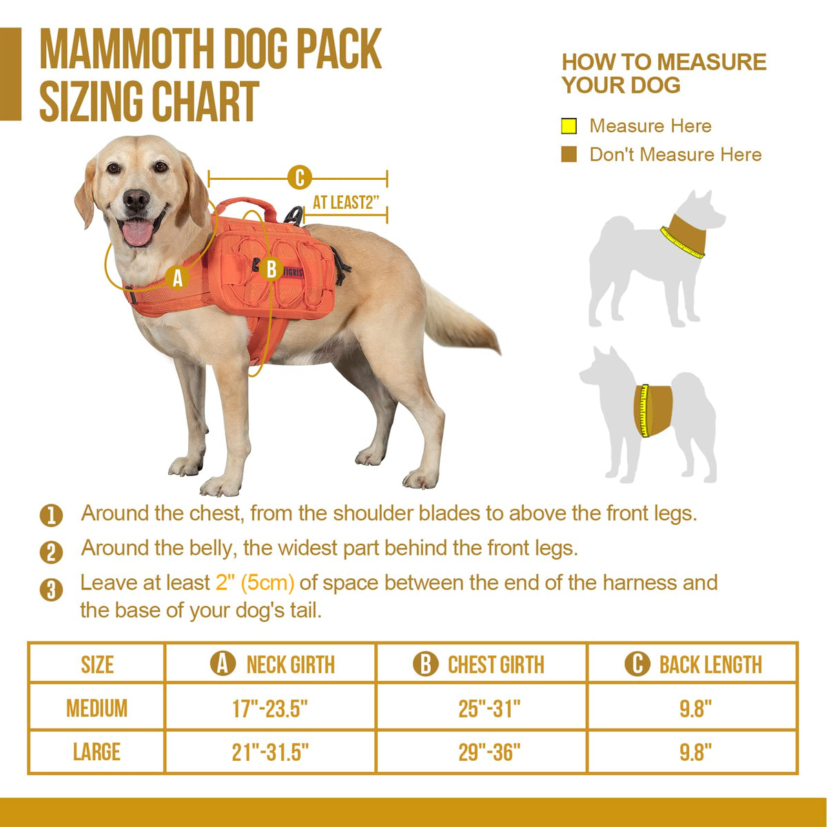 ONETIGRIS Pet Supplies in Small, Orange