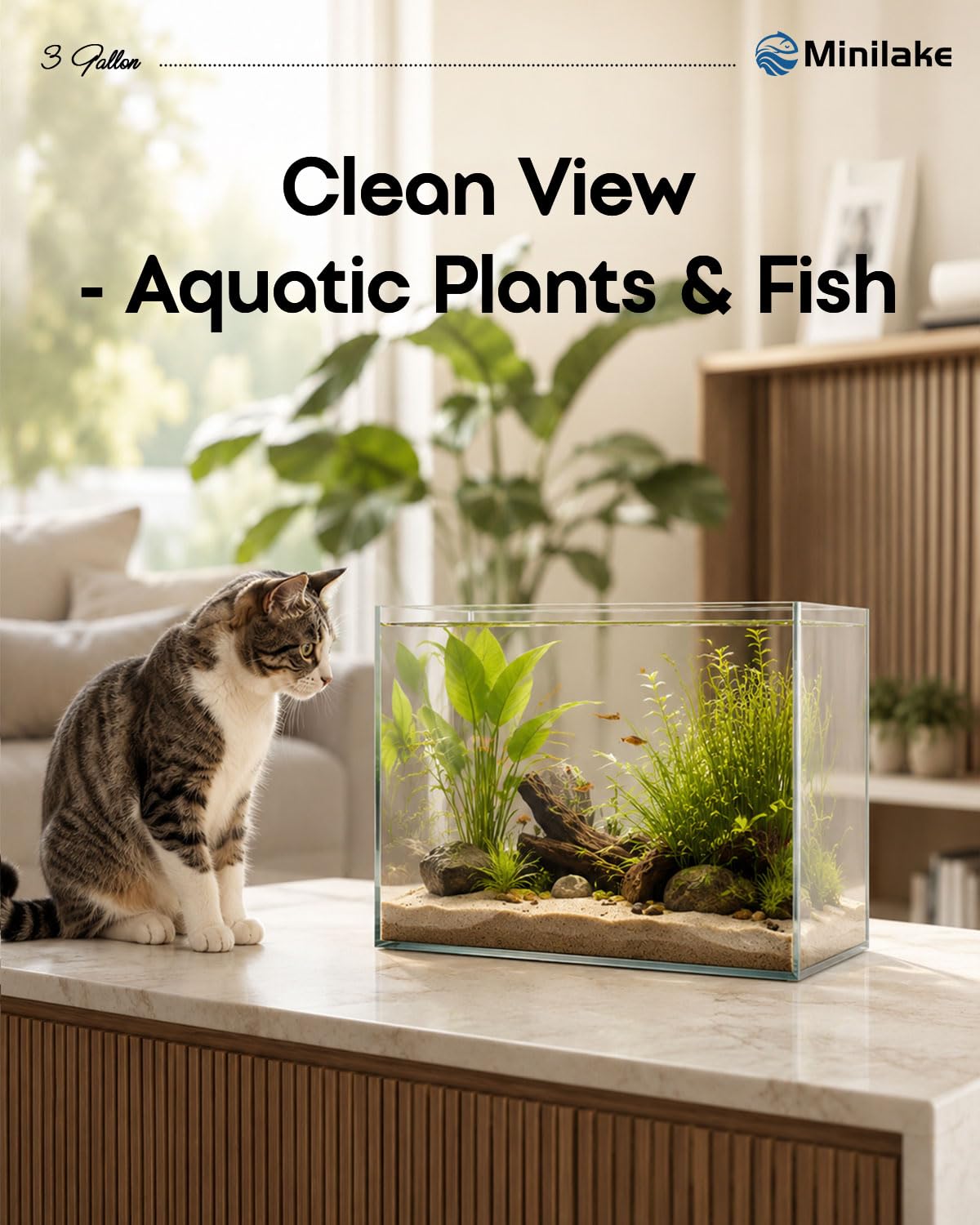 minilake Vivarium in 3 Gallon, Transparent