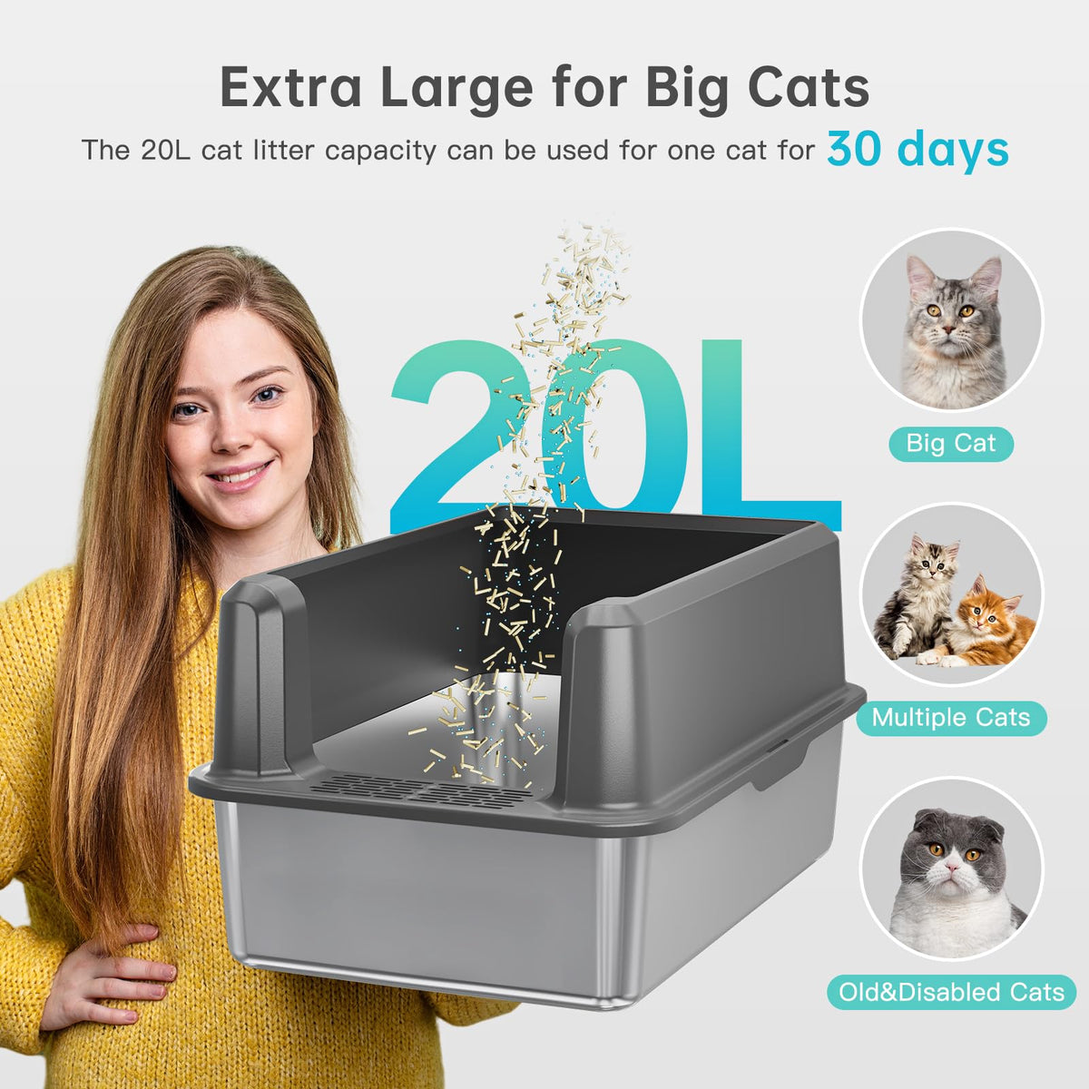 WoofiGo Litter Box in X-Large, 5 - Dark Gray (Pack of 1)