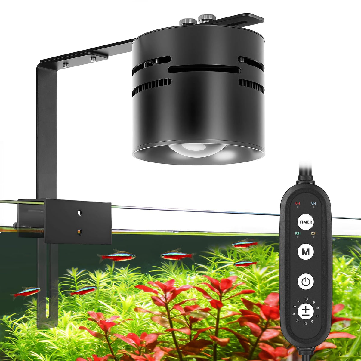 AQQA Electric Light in up to 48 Inches, Black
