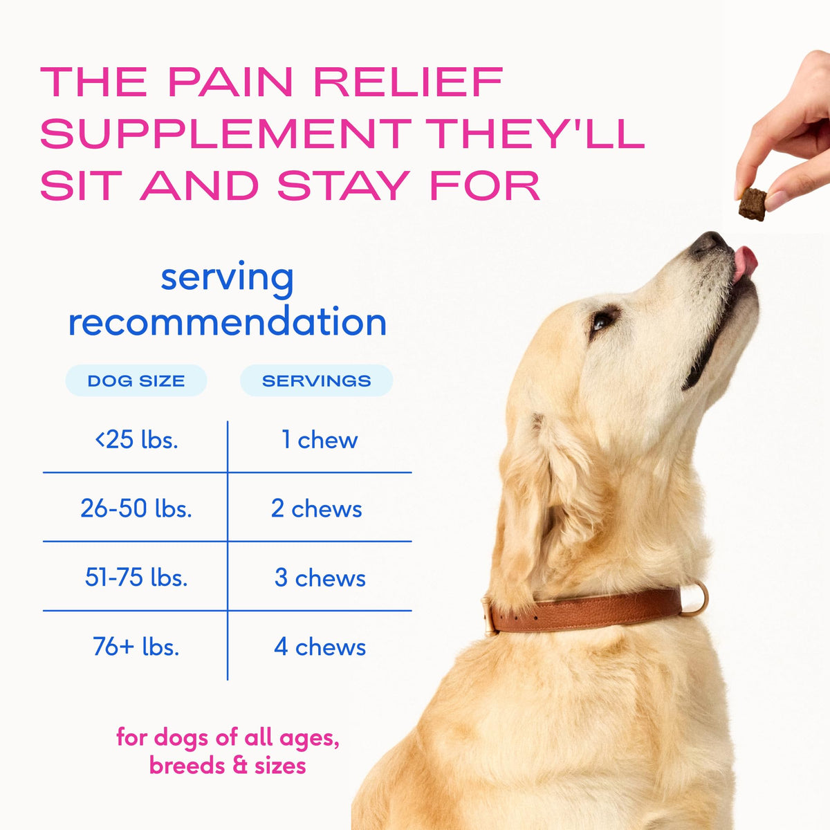 Native Pet Animal Nutritional Supplement in 60 Servings, Inflammatory Care