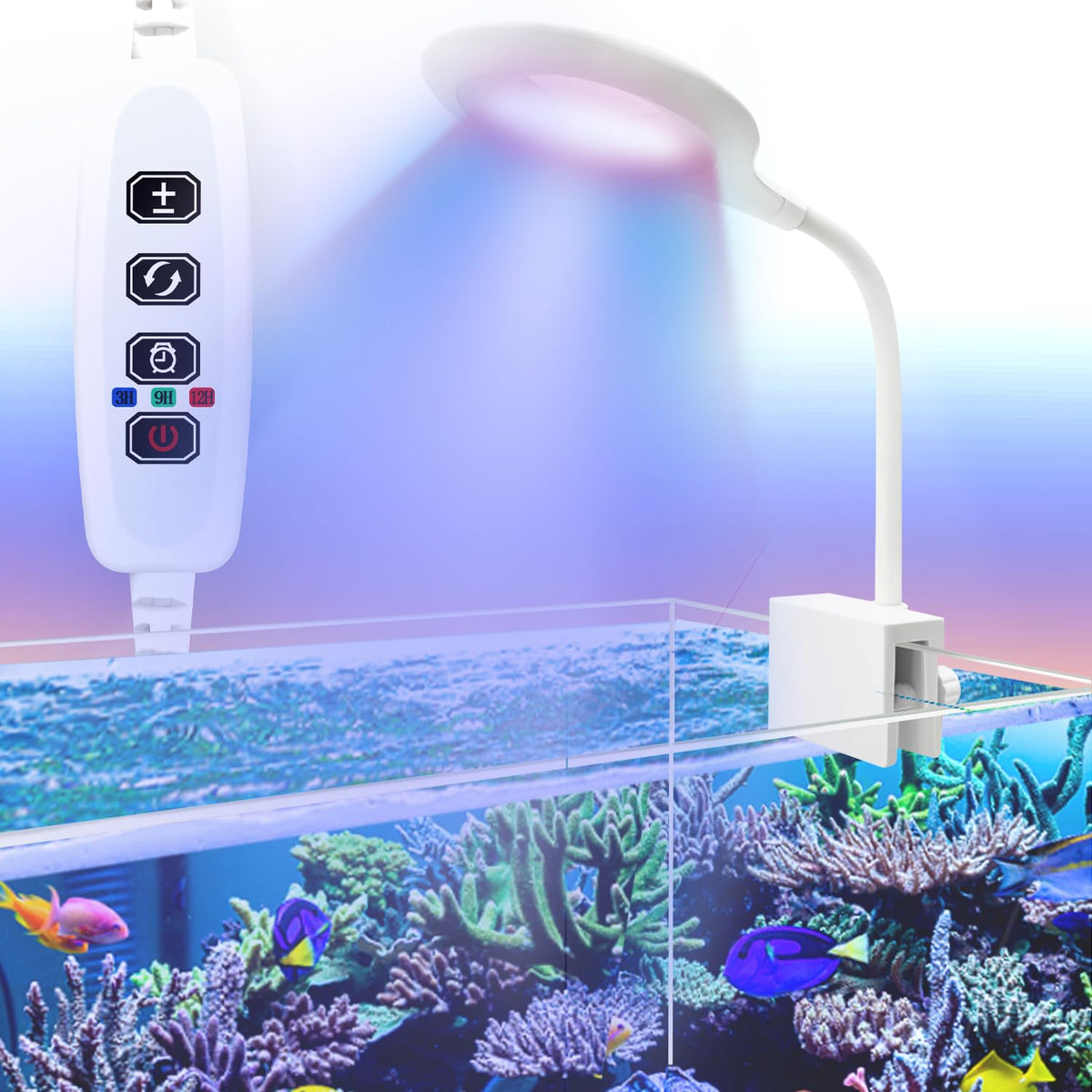 Teddykala Lamp in Oval+BlueRed+Timer+Dimmer+8 Gal, White