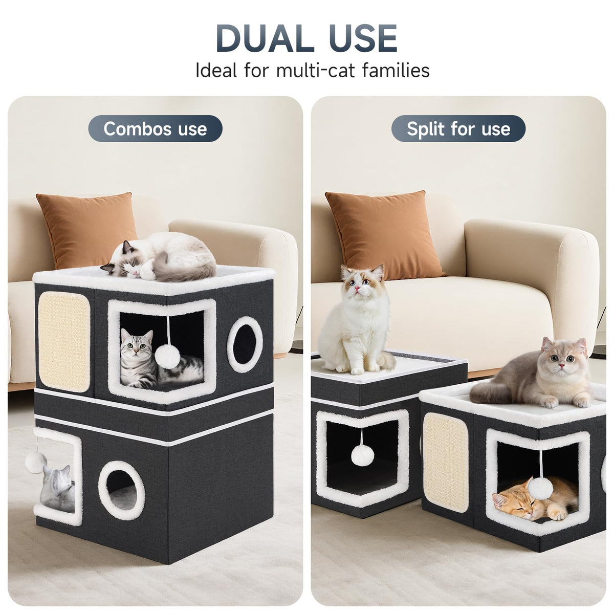 Shikha Animal Shelter in Double, Black