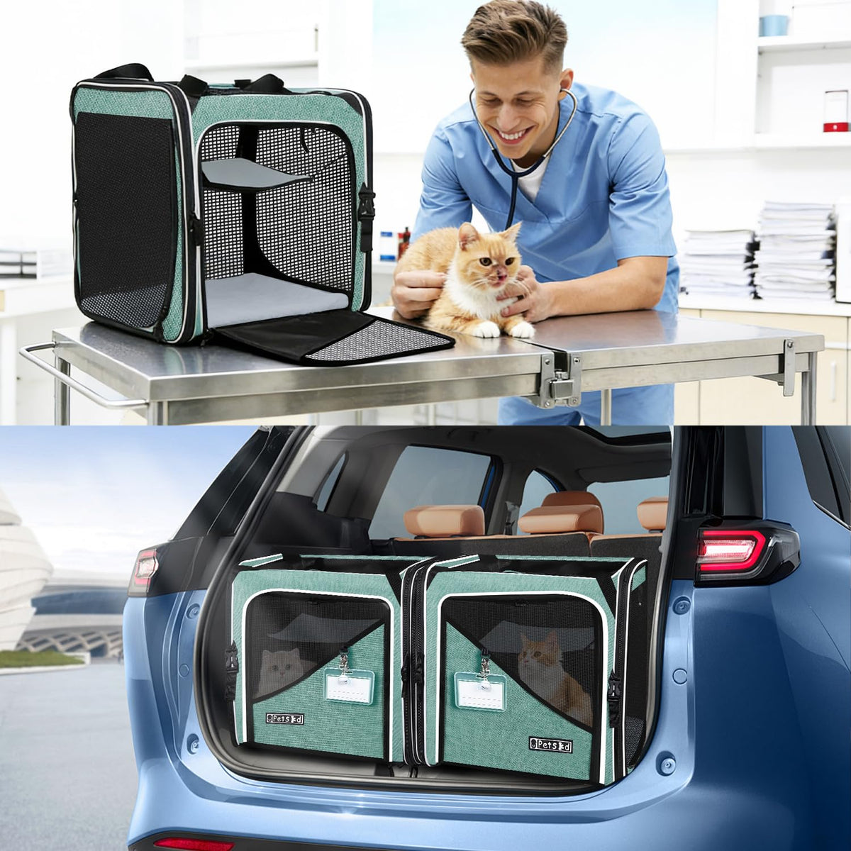Petskd Animal Carrier in 38.0"L x 17.0"W x 18.0"H, Green