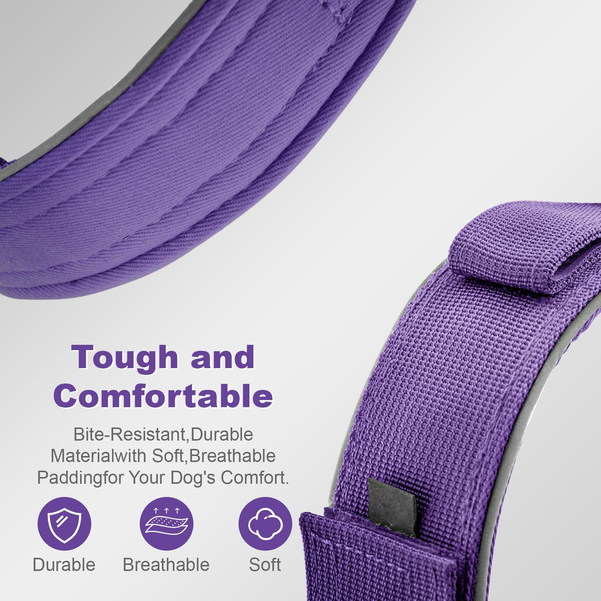 YaoTya Animal Collar in M(15"-18.5"), Purple