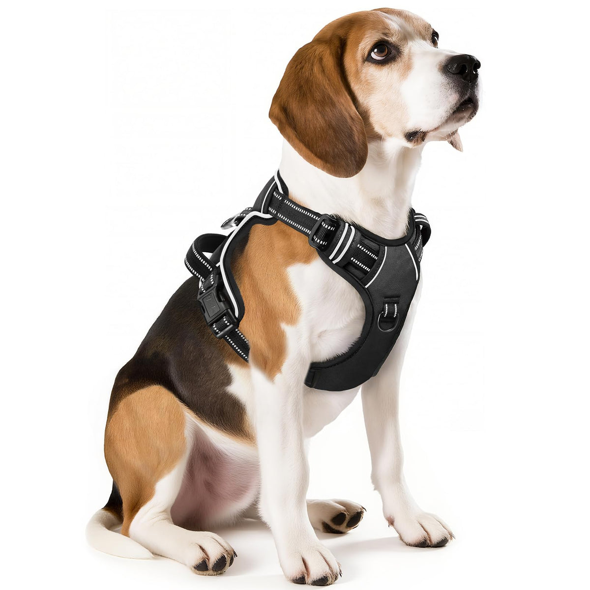 HEELE Animal Harness in M, Black