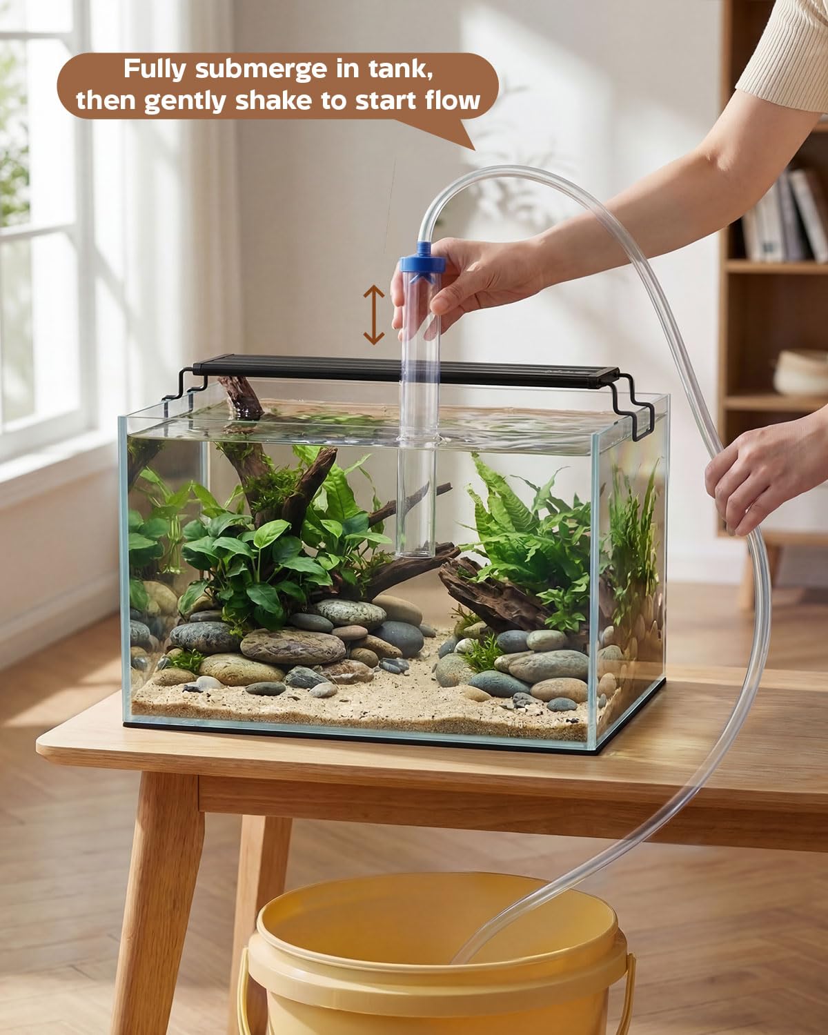 minilake Vivarium in 10 Gallon, Transparent