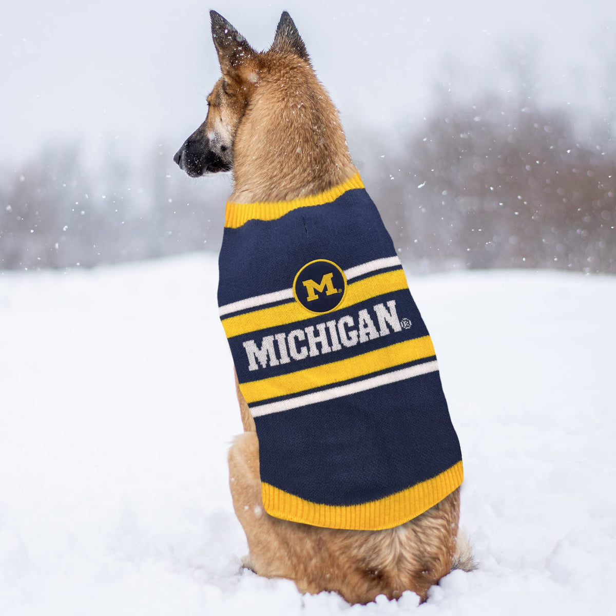 Pets First Pet Apparel in X-Small, Michigan Wolverines
