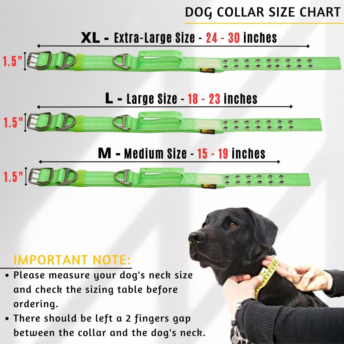 ADITYNA Animal Collar in Medium: Fit 15-19" Neck, Green