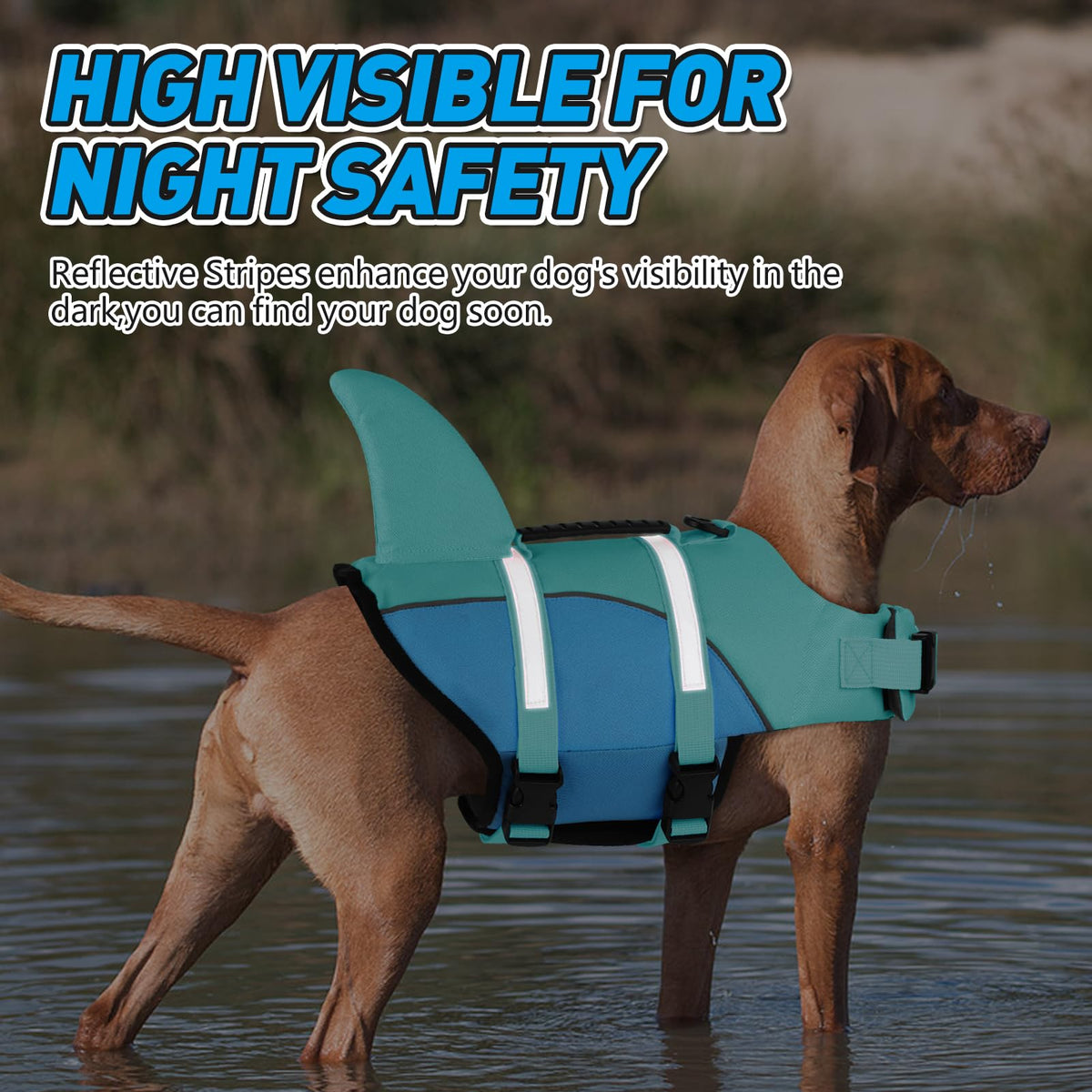 Doglay Pet Apparel in Small, Turquoise & Blue